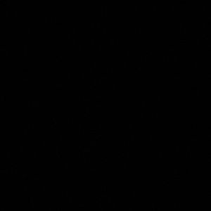 Meet your Posher, Ethan